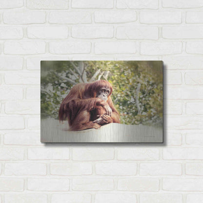 Luxe Metal Art 'Orangutan' by Debra Van Swearingen, Metal Wall Art,24x16