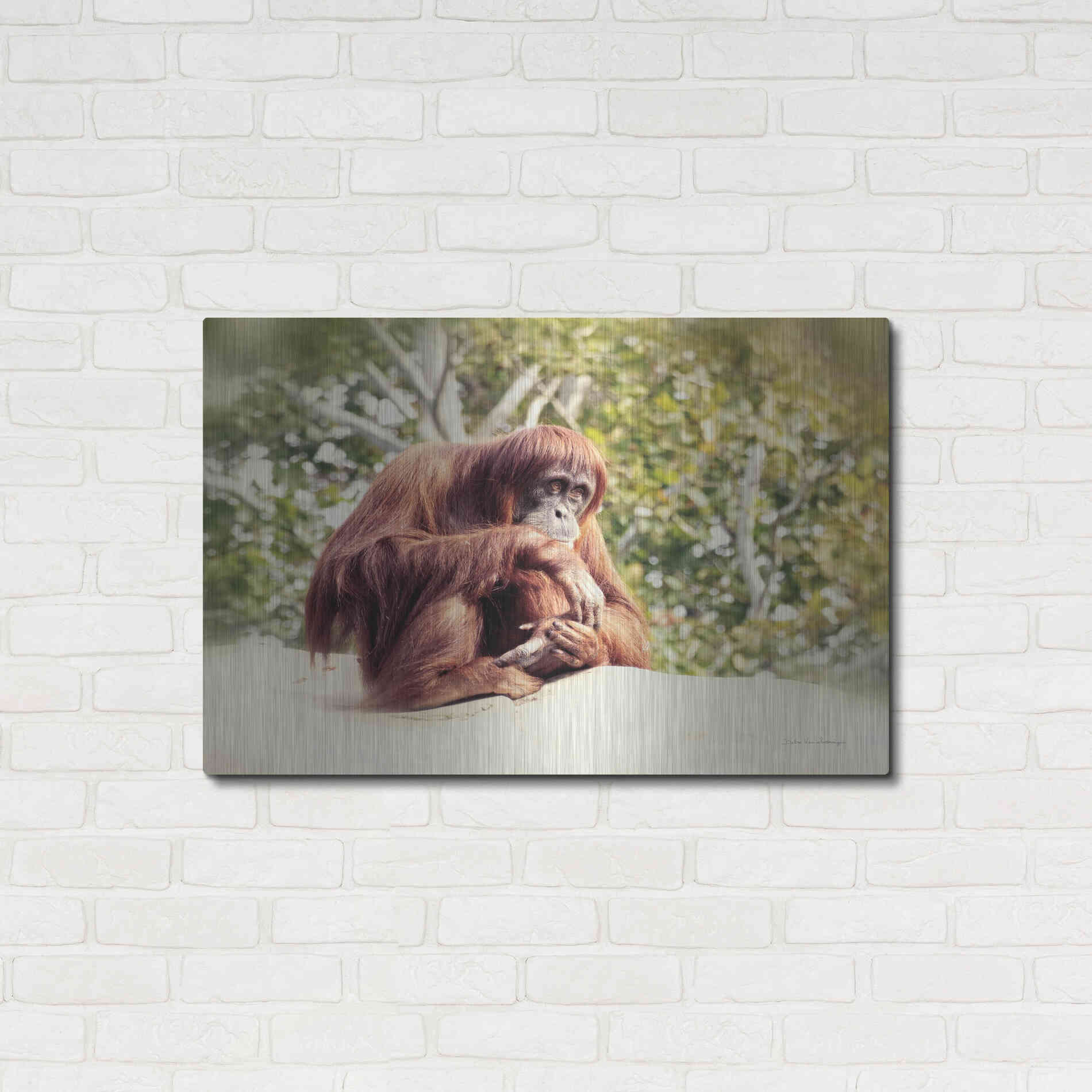 Luxe Metal Art 'Orangutan' by Debra Van Swearingen, Metal Wall Art,36x24