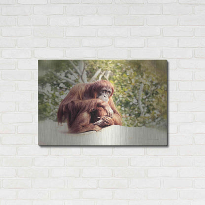 Luxe Metal Art 'Orangutan' by Debra Van Swearingen, Metal Wall Art,36x24
