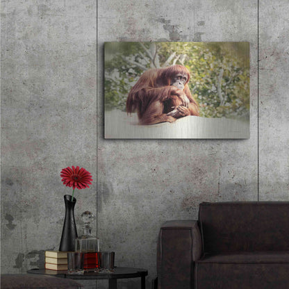 Luxe Metal Art 'Orangutan' by Debra Van Swearingen, Metal Wall Art,36x24