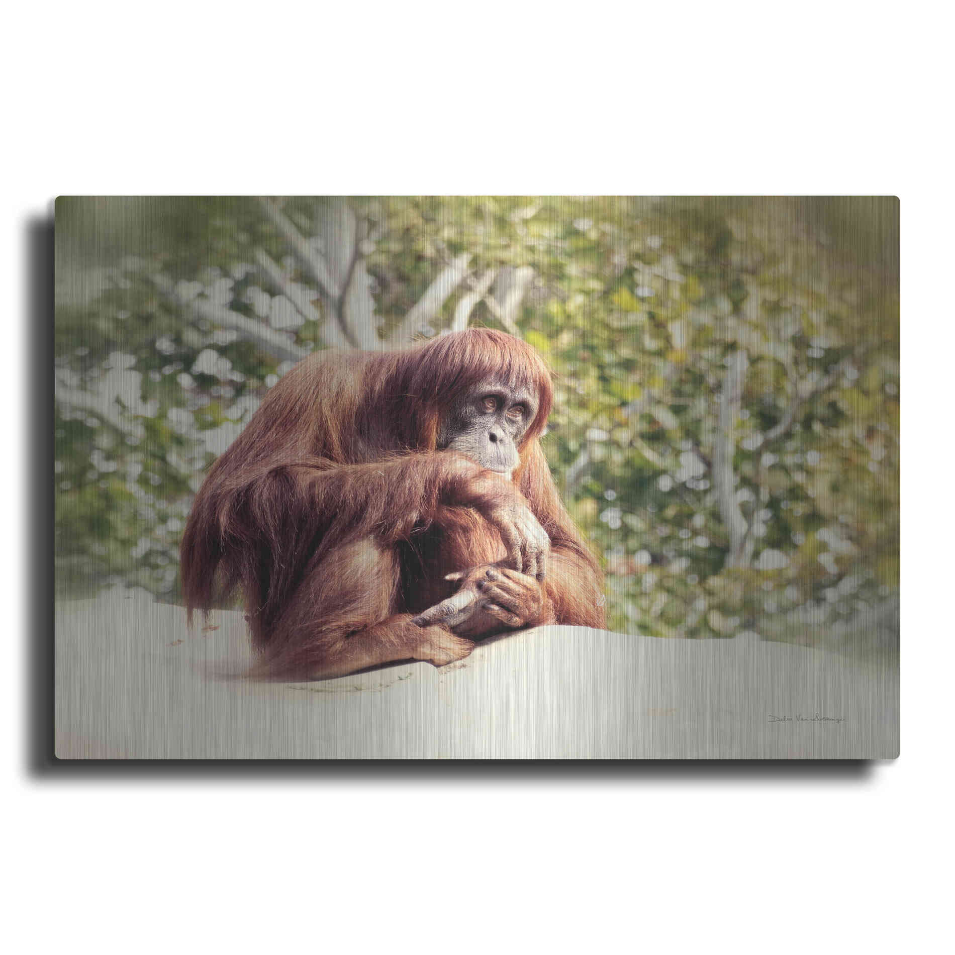 Luxe Metal Art 'Orangutan' by Debra Van Swearingen, Metal Wall Art