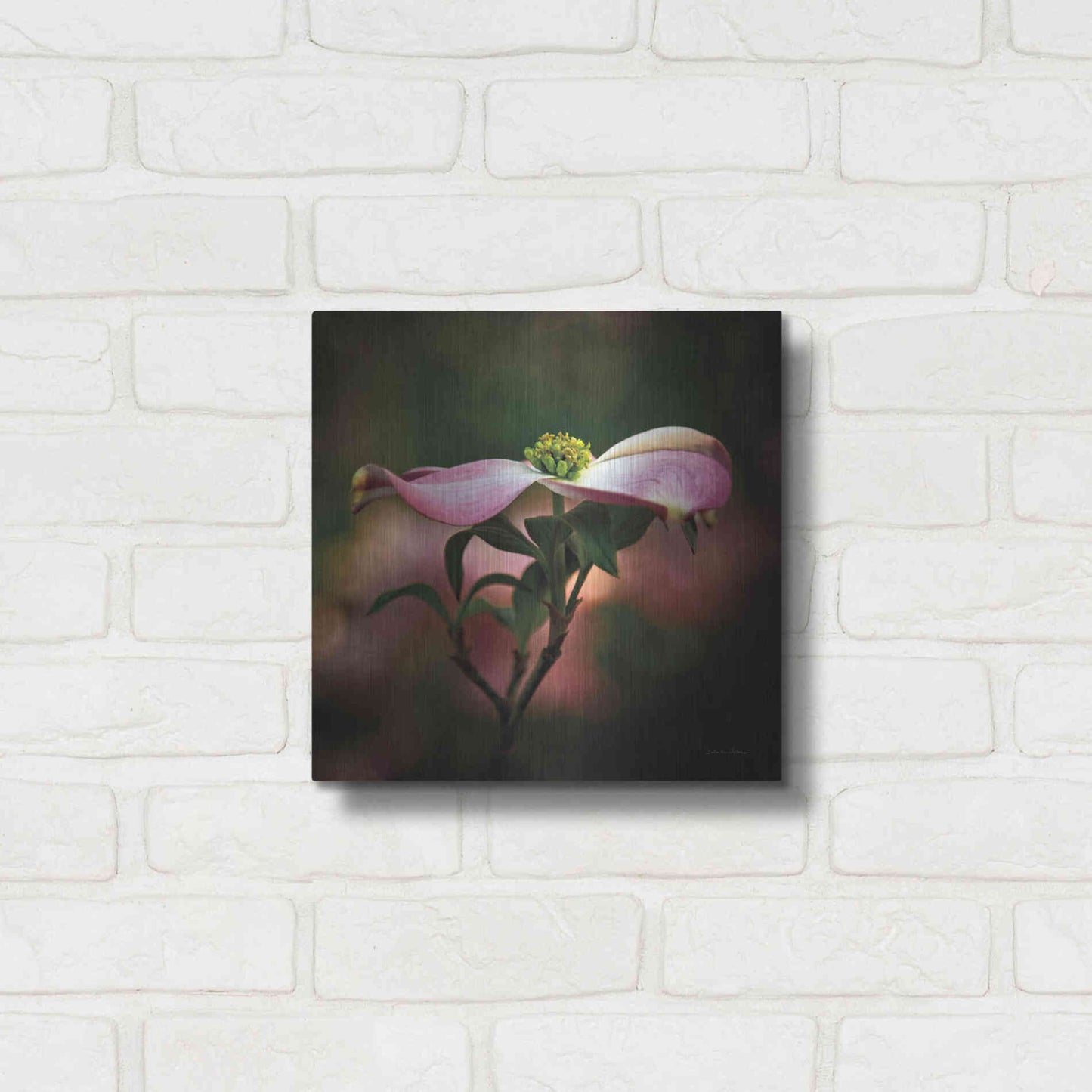 Luxe Metal Art 'Pink Dogwood I' by Debra Van Swearingen, Metal Wall Art,12x12