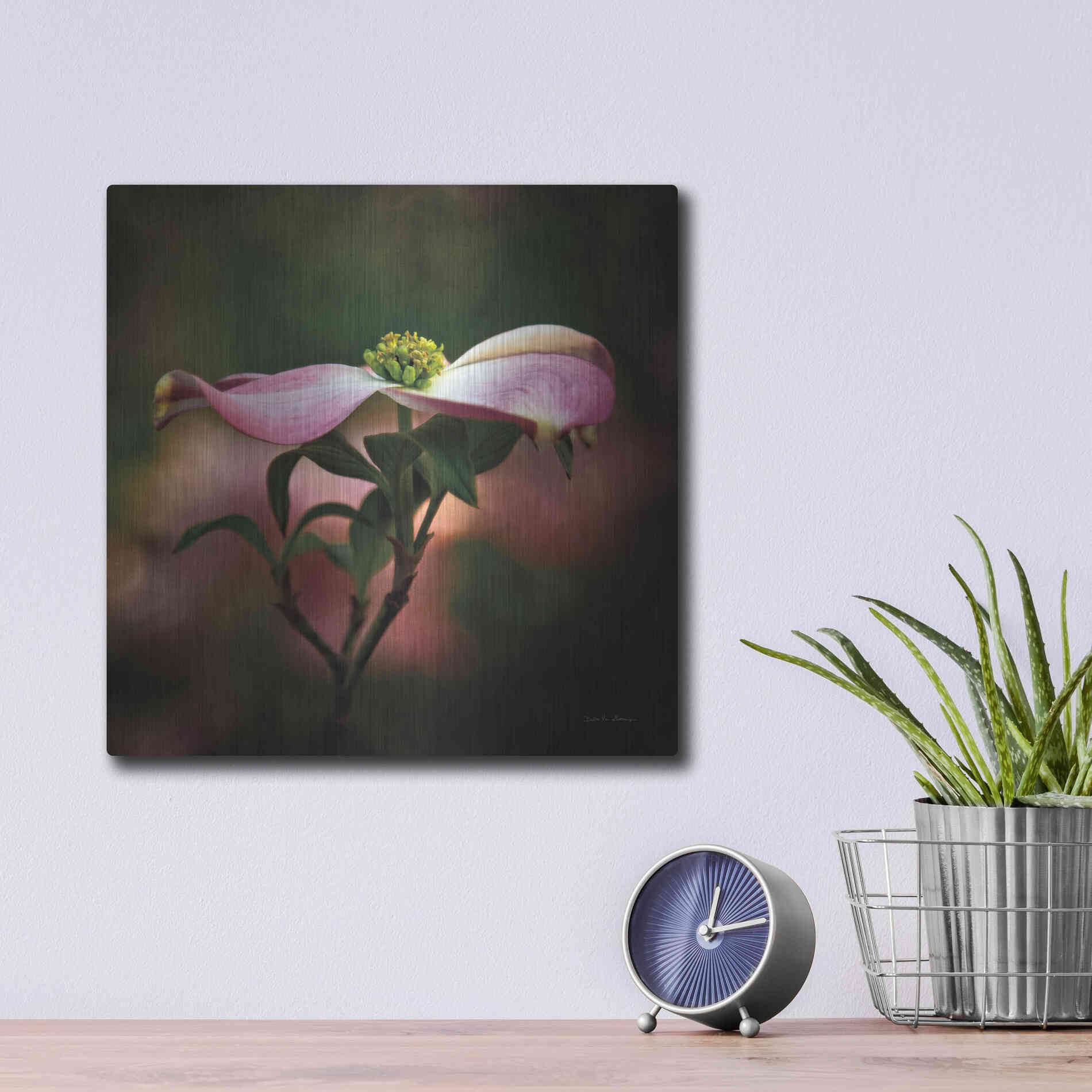 Luxe Metal Art 'Pink Dogwood I' by Debra Van Swearingen, Metal Wall Art,12x12