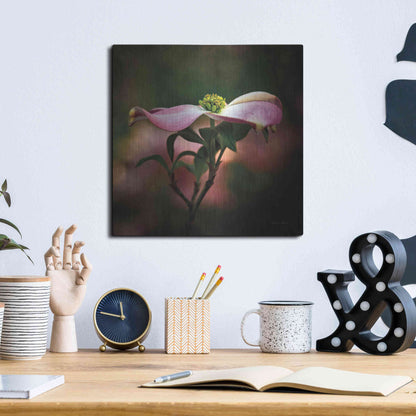 Luxe Metal Art 'Pink Dogwood I' by Debra Van Swearingen, Metal Wall Art,12x12