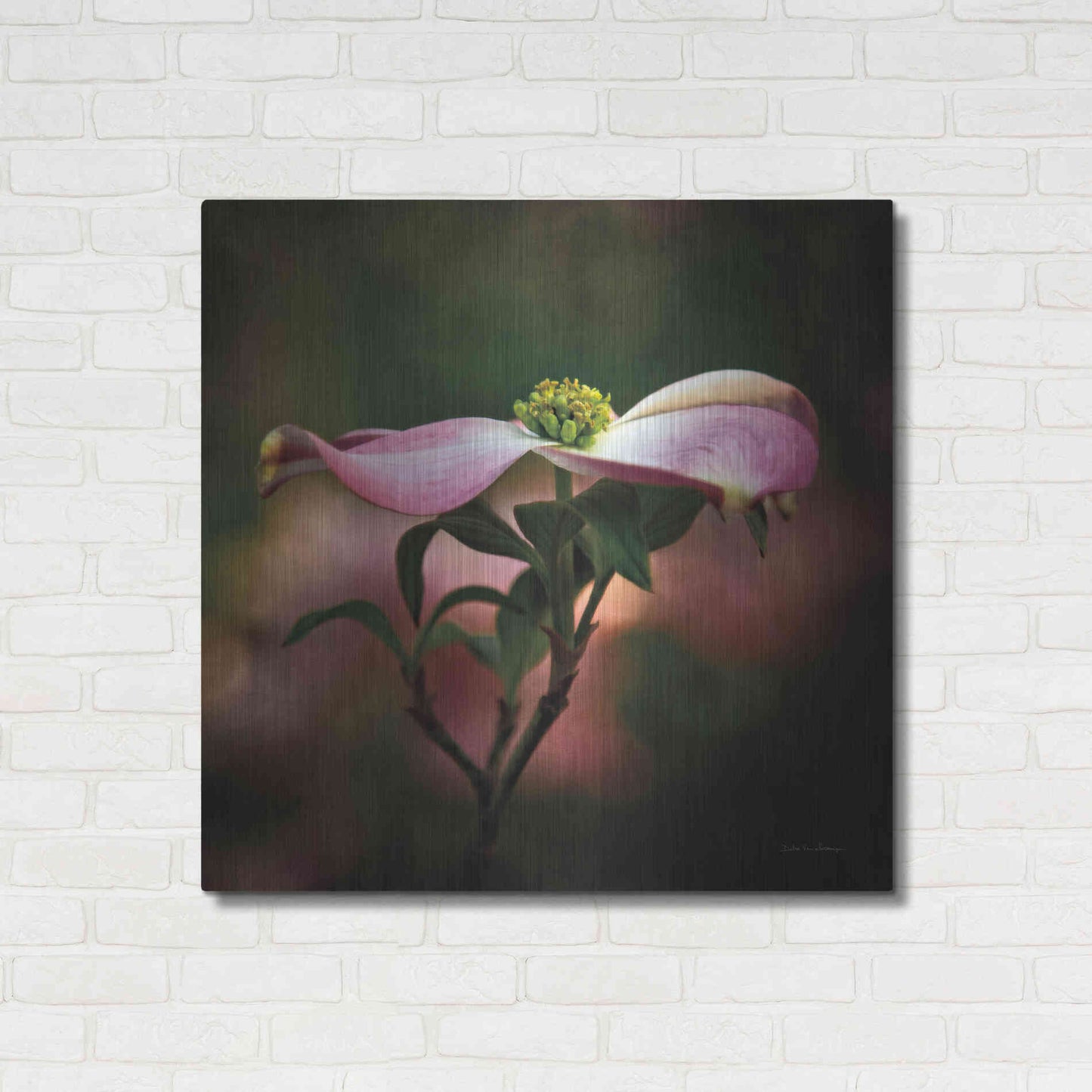 Luxe Metal Art 'Pink Dogwood I' by Debra Van Swearingen, Metal Wall Art,36x36