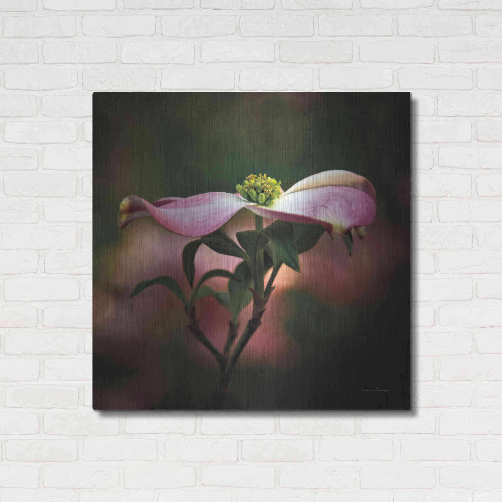 Luxe Metal Art 'Pink Dogwood I' by Debra Van Swearingen, Metal Wall Art,36x36