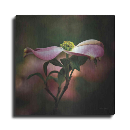 Luxe Metal Art 'Pink Dogwood I' by Debra Van Swearingen, Metal Wall Art