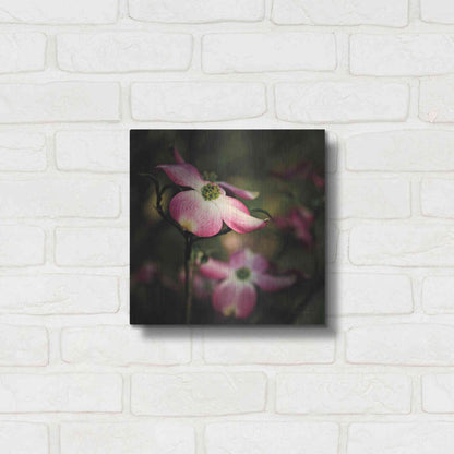 Luxe Metal Art 'Pink Dogwood II' by Debra Van Swearingen, Metal Wall Art,12x12