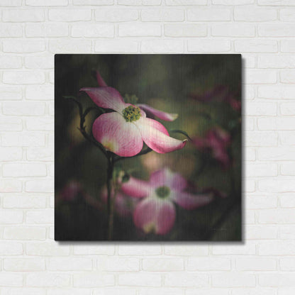 Luxe Metal Art 'Pink Dogwood II' by Debra Van Swearingen, Metal Wall Art,36x36