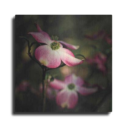 Luxe Metal Art 'Pink Dogwood II' by Debra Van Swearingen, Metal Wall Art