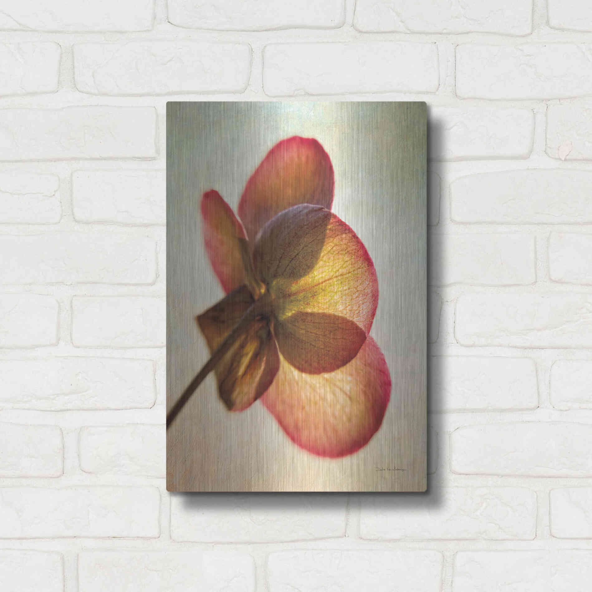 Luxe Metal Art 'Lenton Rose I' by Debra Van Swearingen, Metal Wall Art,12x16