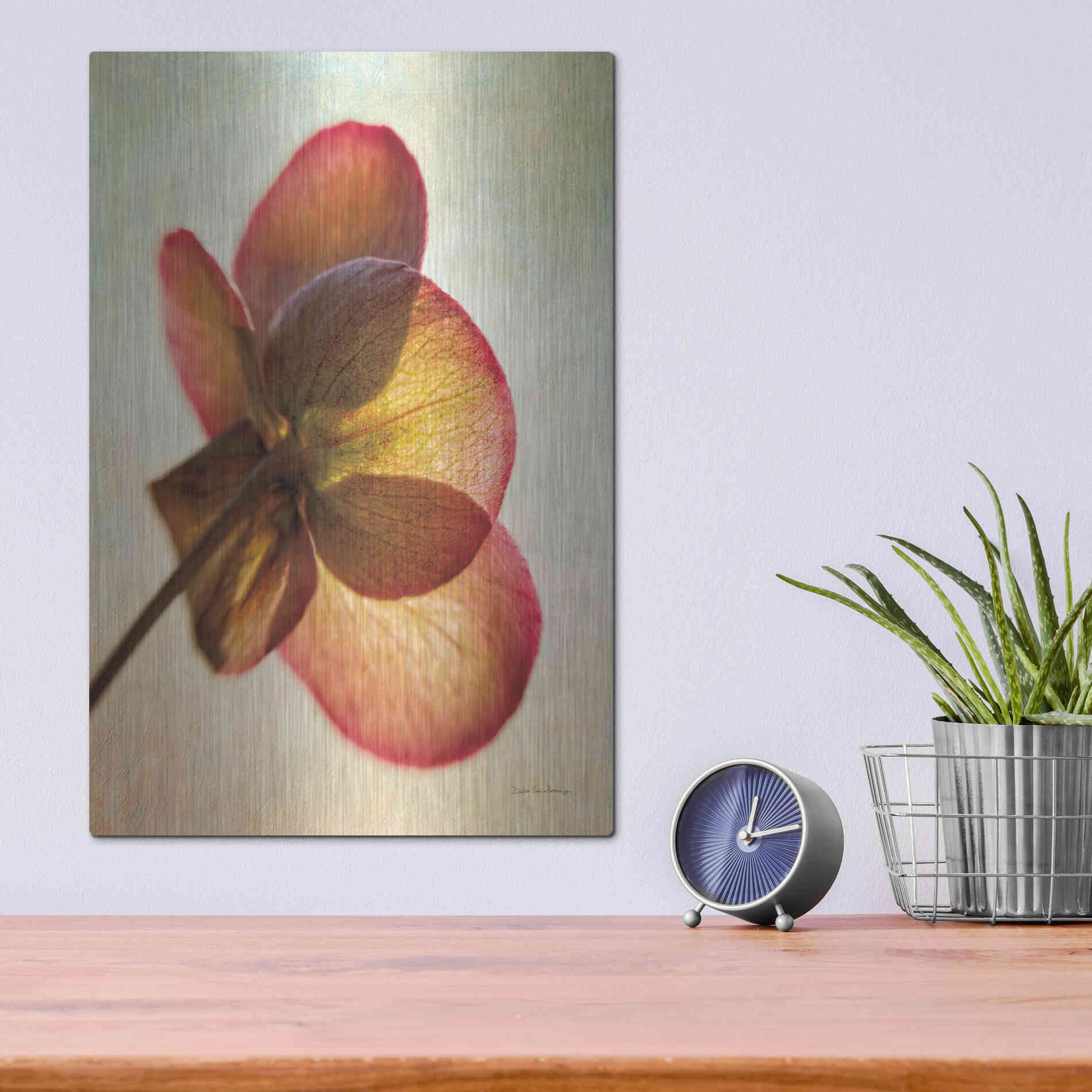 Luxe Metal Art 'Lenton Rose I' by Debra Van Swearingen, Metal Wall Art,12x16