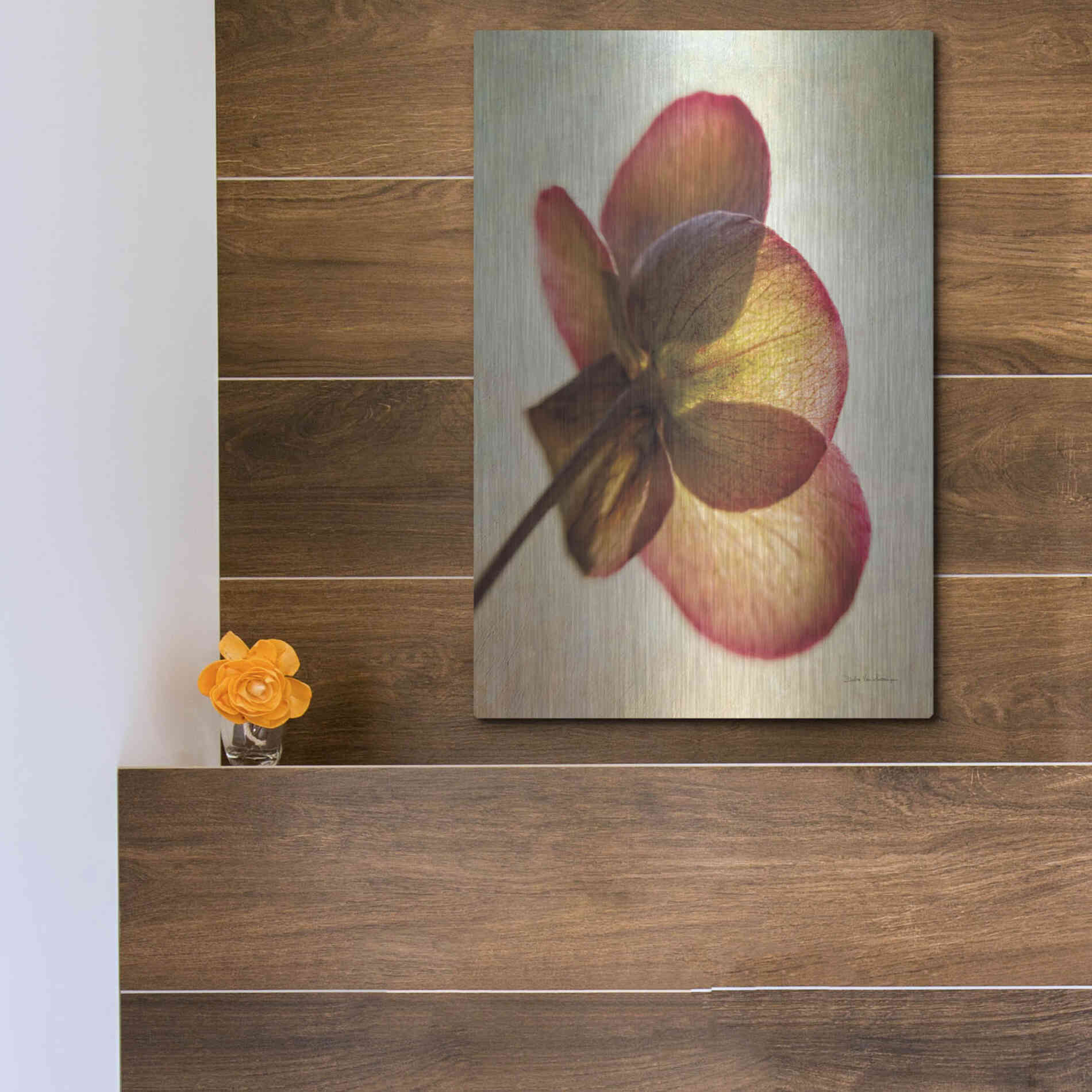 Luxe Metal Art 'Lenton Rose I' by Debra Van Swearingen, Metal Wall Art,12x16
