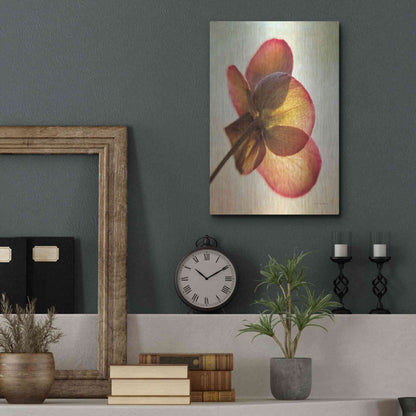 Luxe Metal Art 'Lenton Rose I' by Debra Van Swearingen, Metal Wall Art,12x16