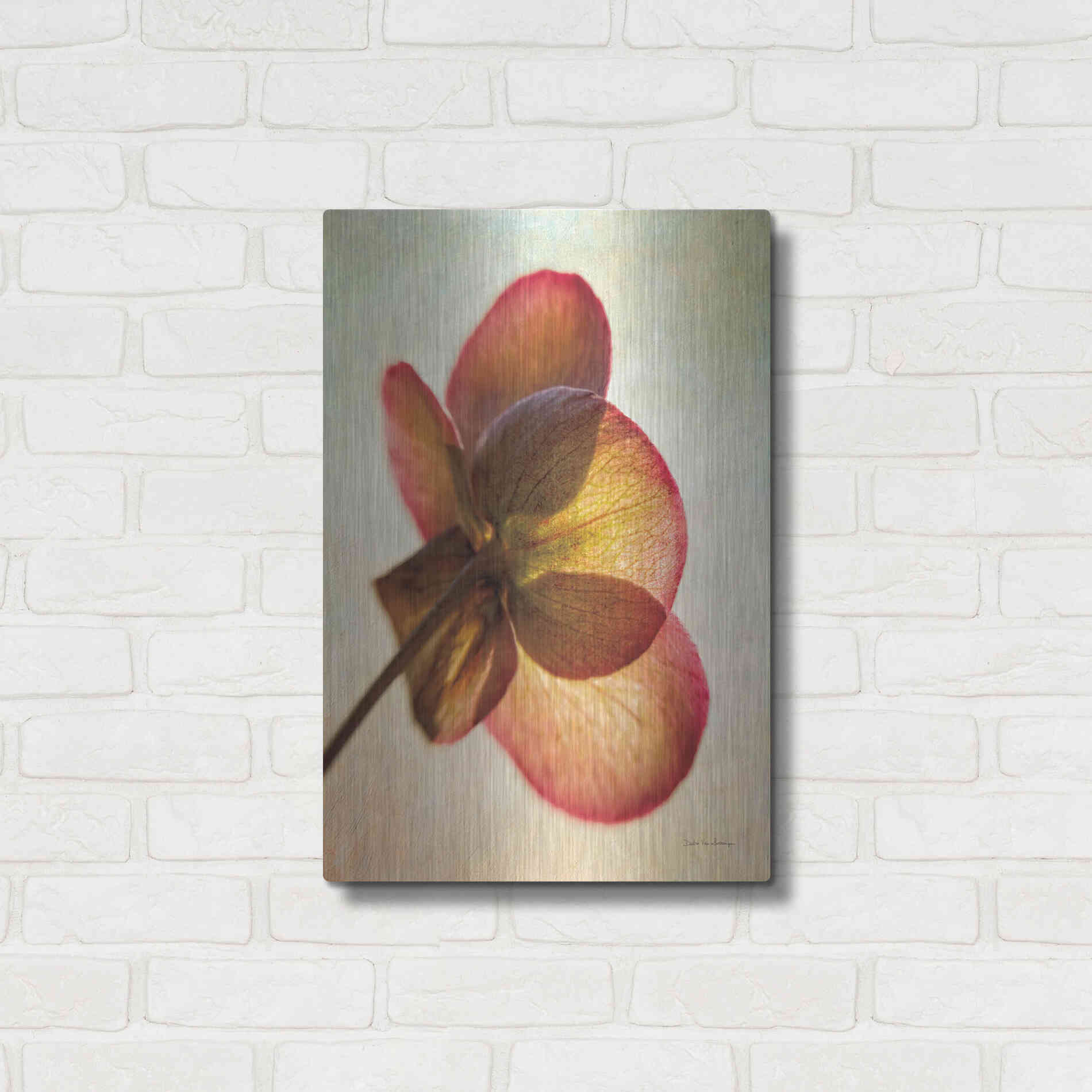 Luxe Metal Art 'Lenton Rose I' by Debra Van Swearingen, Metal Wall Art,16x24