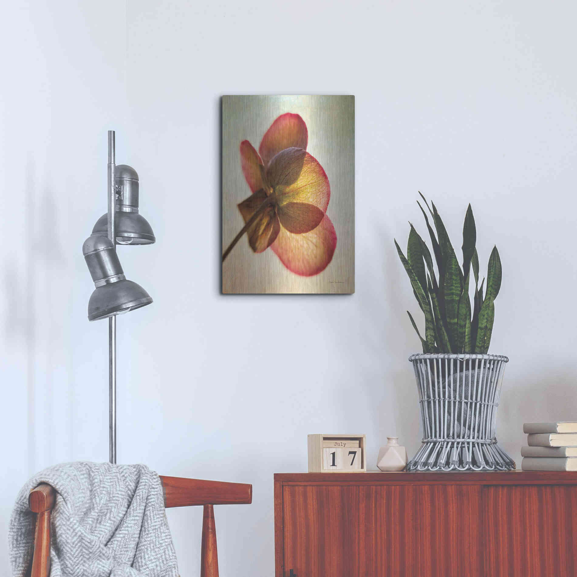 Luxe Metal Art 'Lenton Rose I' by Debra Van Swearingen, Metal Wall Art,16x24