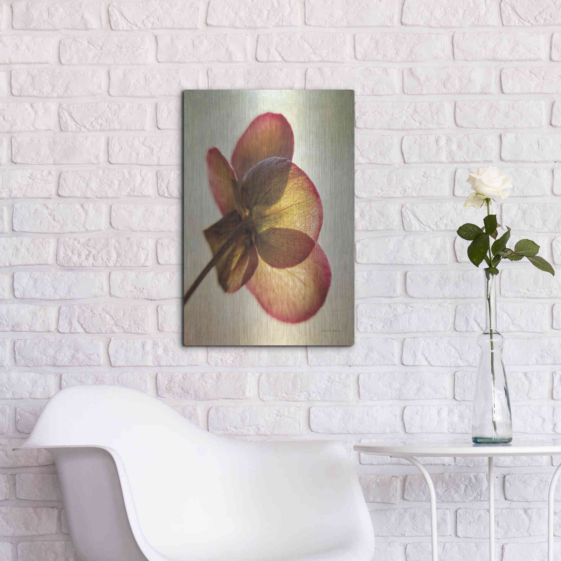 Luxe Metal Art 'Lenton Rose I' by Debra Van Swearingen, Metal Wall Art,16x24