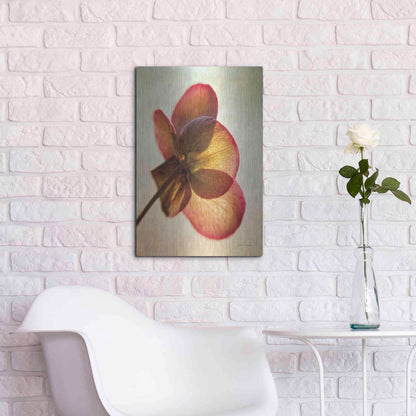 Luxe Metal Art 'Lenton Rose I' by Debra Van Swearingen, Metal Wall Art,16x24