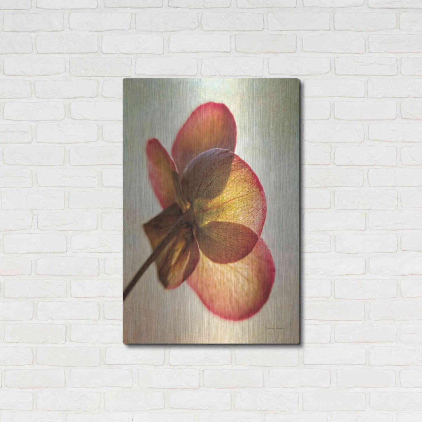 Luxe Metal Art 'Lenton Rose I' by Debra Van Swearingen, Metal Wall Art,24x36