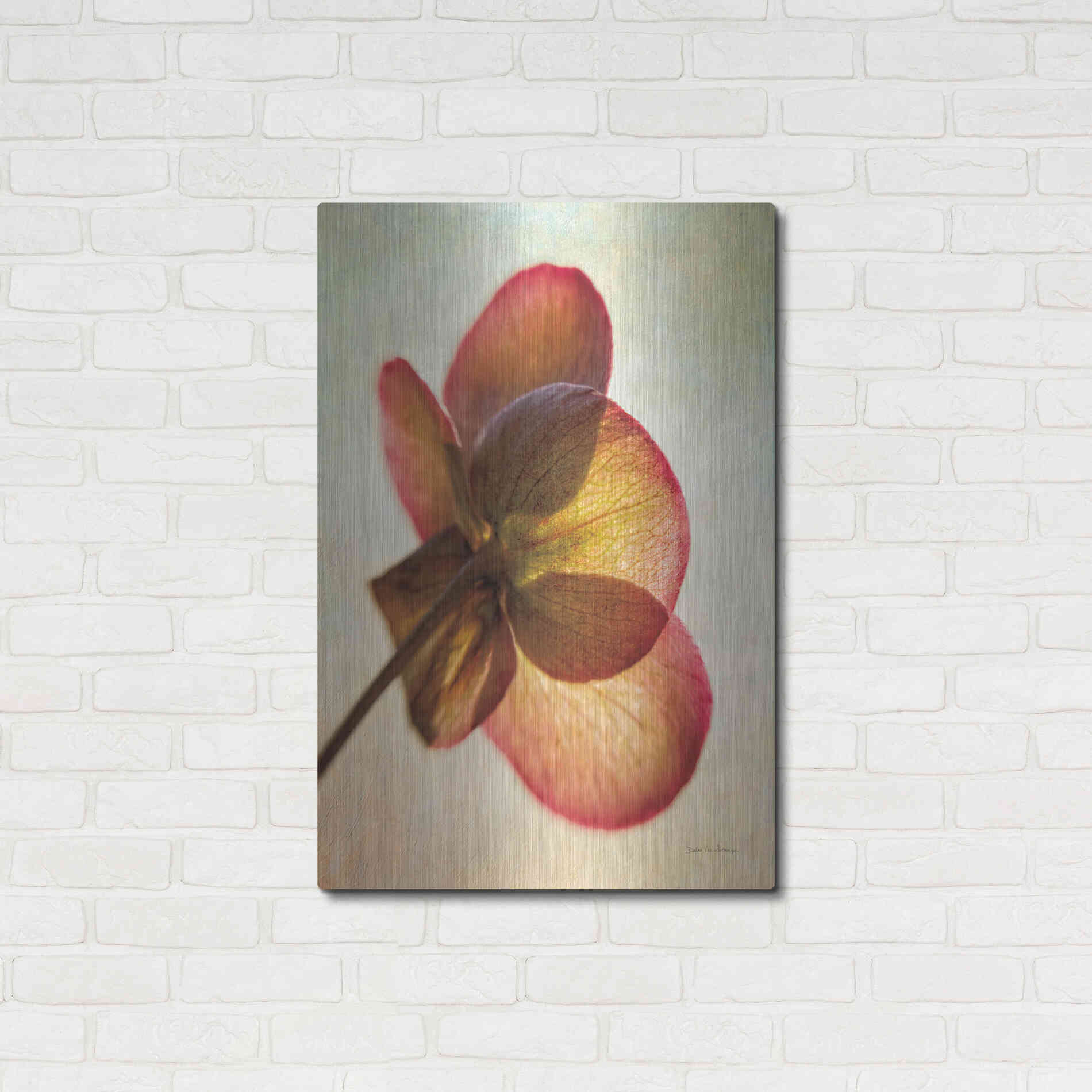 Luxe Metal Art 'Lenton Rose I' by Debra Van Swearingen, Metal Wall Art,24x36
