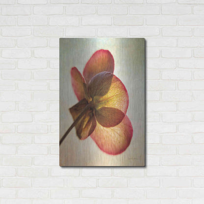Luxe Metal Art 'Lenton Rose I' by Debra Van Swearingen, Metal Wall Art,24x36