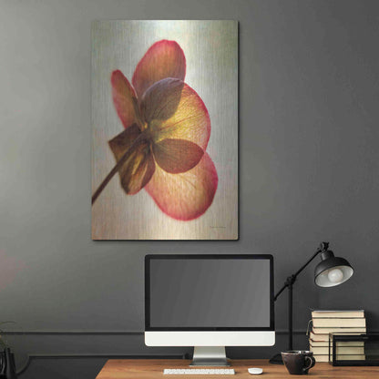 Luxe Metal Art 'Lenton Rose I' by Debra Van Swearingen, Metal Wall Art,24x36