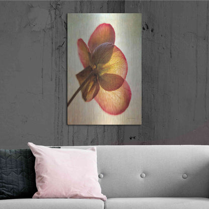 Luxe Metal Art 'Lenton Rose I' by Debra Van Swearingen, Metal Wall Art,24x36