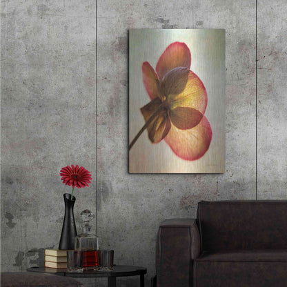 Luxe Metal Art 'Lenton Rose I' by Debra Van Swearingen, Metal Wall Art,24x36