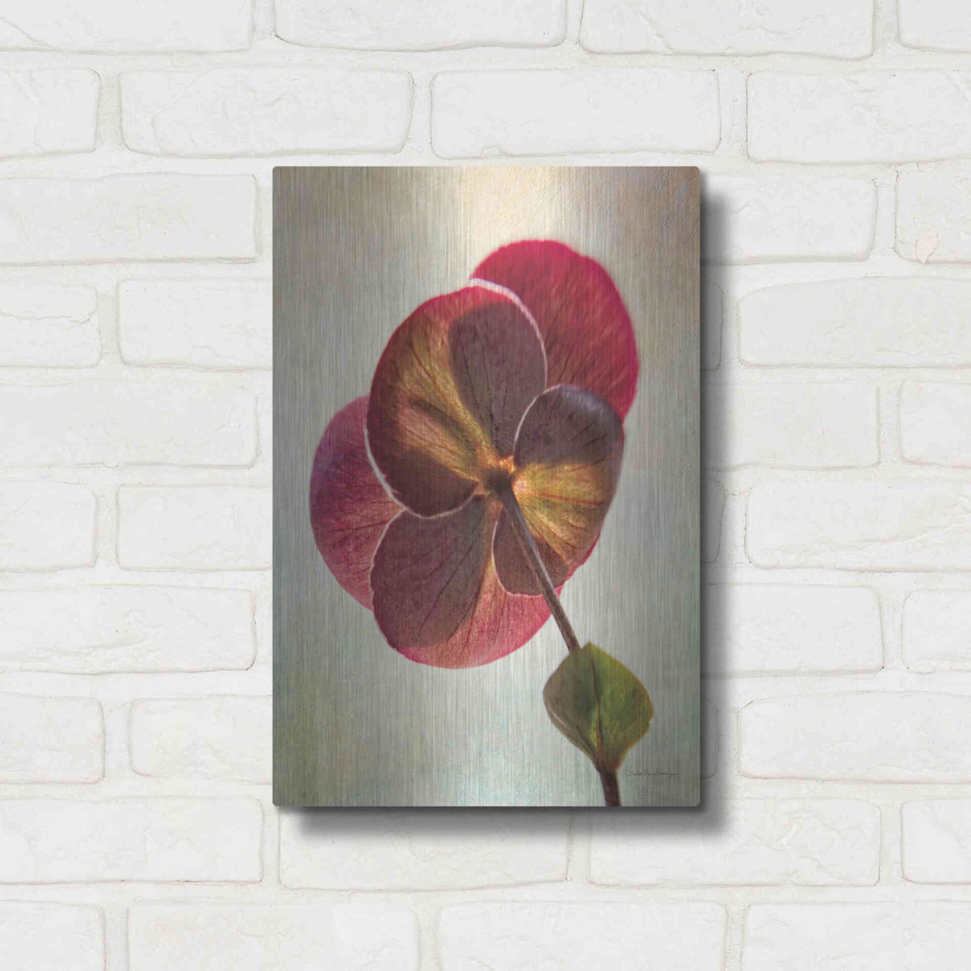 Luxe Metal Art 'Lenton Rose II' by Debra Van Swearingen, Metal Wall Art,12x16