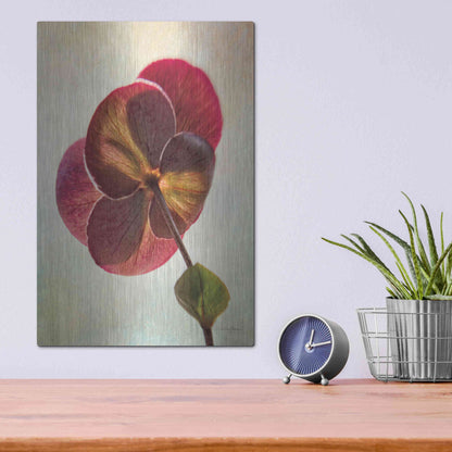 Luxe Metal Art 'Lenton Rose II' by Debra Van Swearingen, Metal Wall Art,12x16