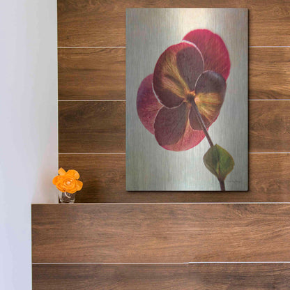 Luxe Metal Art 'Lenton Rose II' by Debra Van Swearingen, Metal Wall Art,12x16