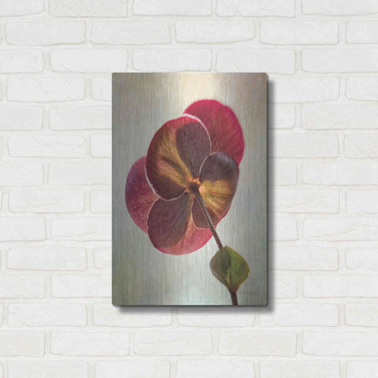 Luxe Metal Art 'Lenton Rose II' by Debra Van Swearingen, Metal Wall Art,16x24