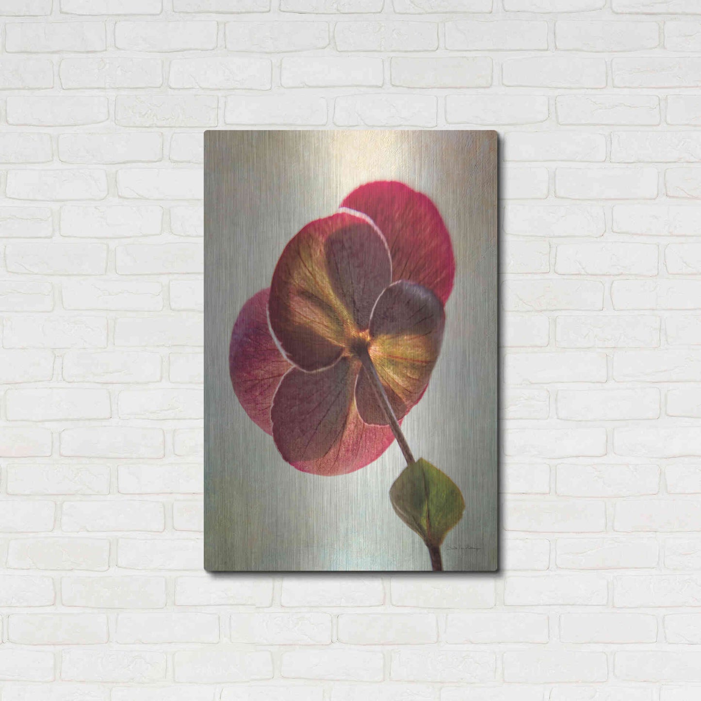 Luxe Metal Art 'Lenton Rose II' by Debra Van Swearingen, Metal Wall Art,24x36