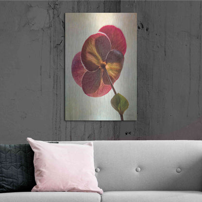 Luxe Metal Art 'Lenton Rose II' by Debra Van Swearingen, Metal Wall Art,24x36