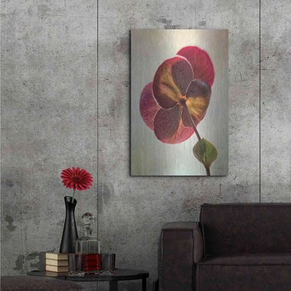 Luxe Metal Art 'Lenton Rose II' by Debra Van Swearingen, Metal Wall Art,24x36