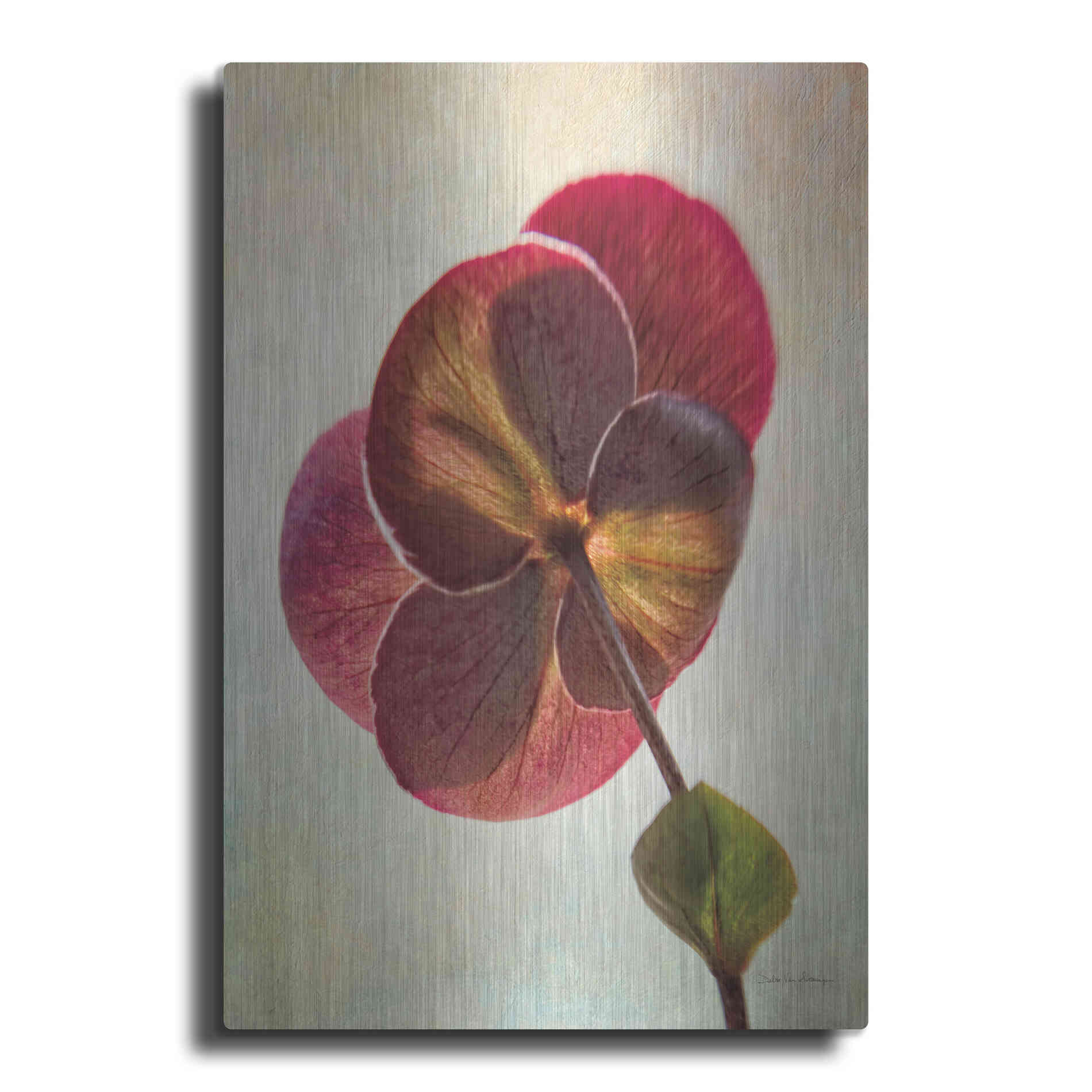 Luxe Metal Art 'Lenton Rose II' by Debra Van Swearingen, Metal Wall Art