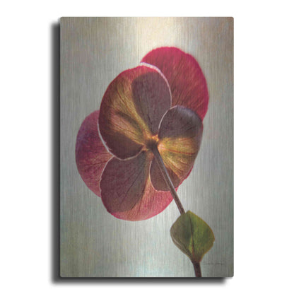 Luxe Metal Art 'Lenton Rose II' by Debra Van Swearingen, Metal Wall Art