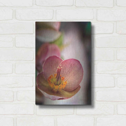 Luxe Metal Art 'Lenton Rose III' by Debra Van Swearingen, Metal Wall Art,12x16