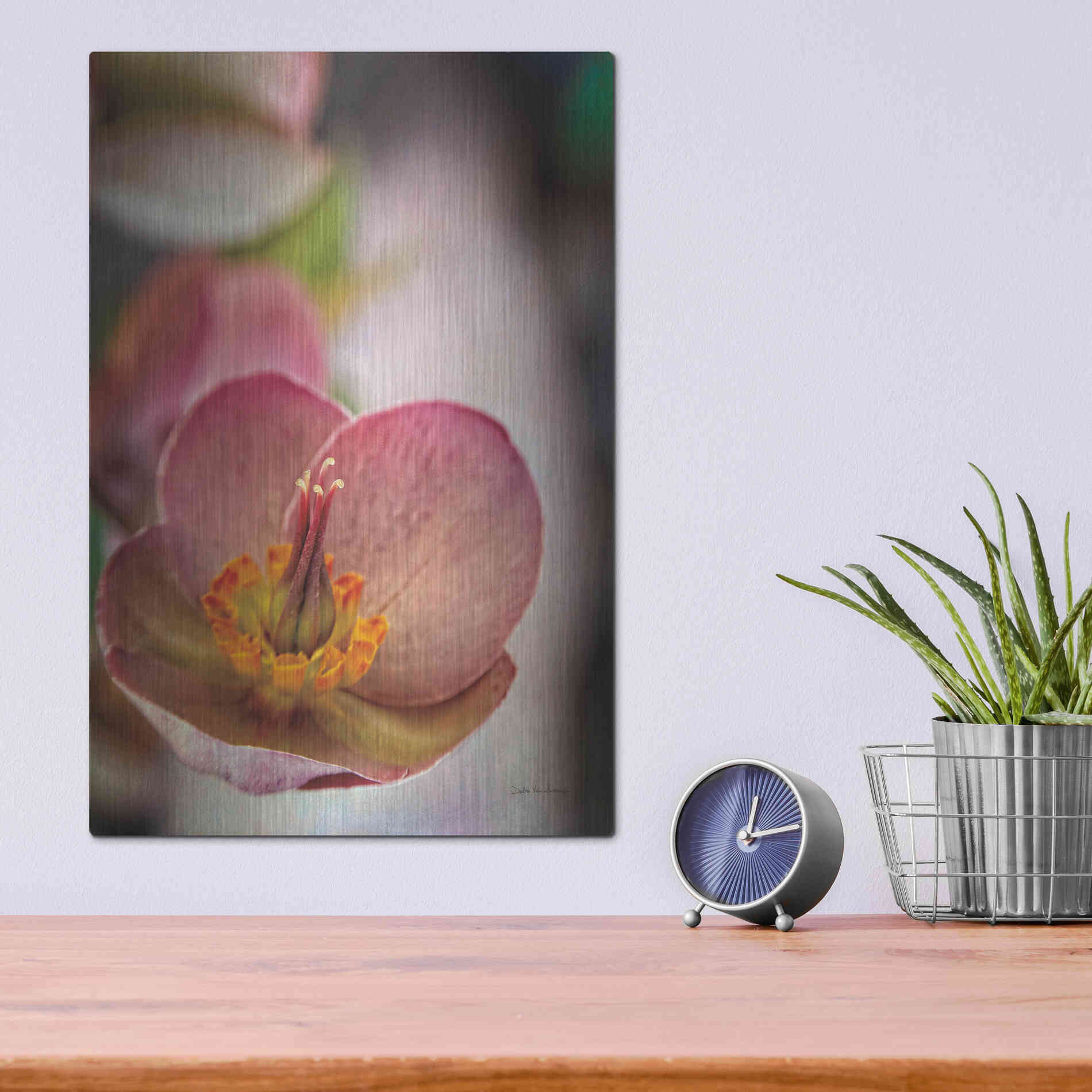 Luxe Metal Art 'Lenton Rose III' by Debra Van Swearingen, Metal Wall Art,12x16