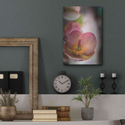 Luxe Metal Art 'Lenton Rose III' by Debra Van Swearingen, Metal Wall Art,12x16