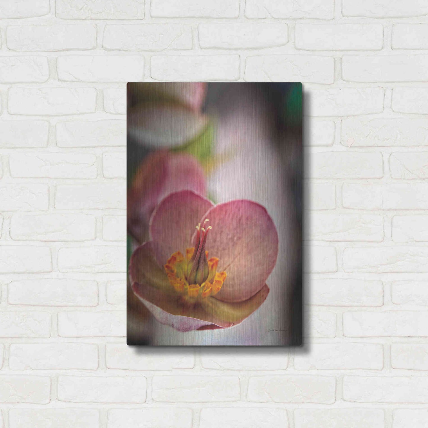 Luxe Metal Art 'Lenton Rose III' by Debra Van Swearingen, Metal Wall Art,16x24