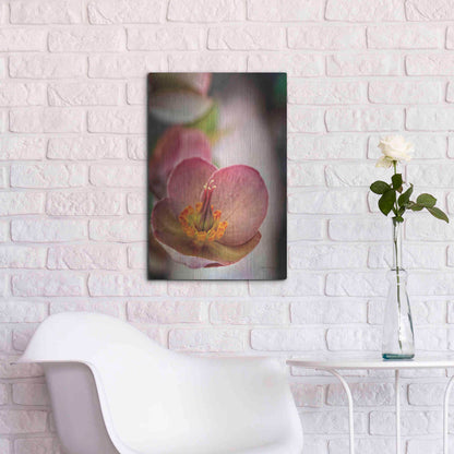 Luxe Metal Art 'Lenton Rose III' by Debra Van Swearingen, Metal Wall Art,16x24