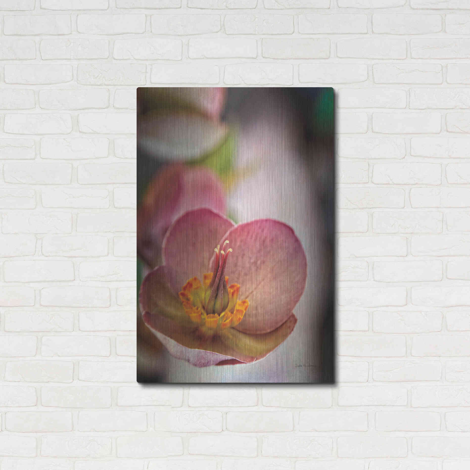 Luxe Metal Art 'Lenton Rose III' by Debra Van Swearingen, Metal Wall Art,24x36