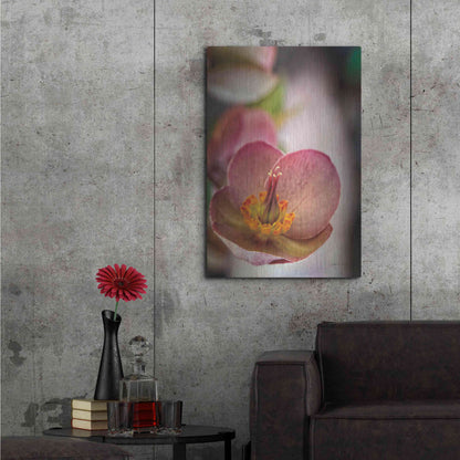 Luxe Metal Art 'Lenton Rose III' by Debra Van Swearingen, Metal Wall Art,24x36