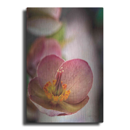 Luxe Metal Art 'Lenton Rose III' by Debra Van Swearingen, Metal Wall Art