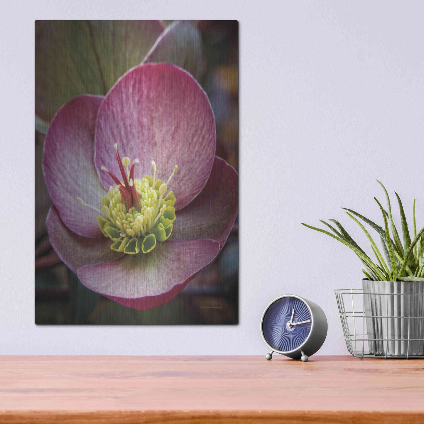 Luxe Metal Art 'Lenton Rose IV' by Debra Van Swearingen, Metal Wall Art,12x16