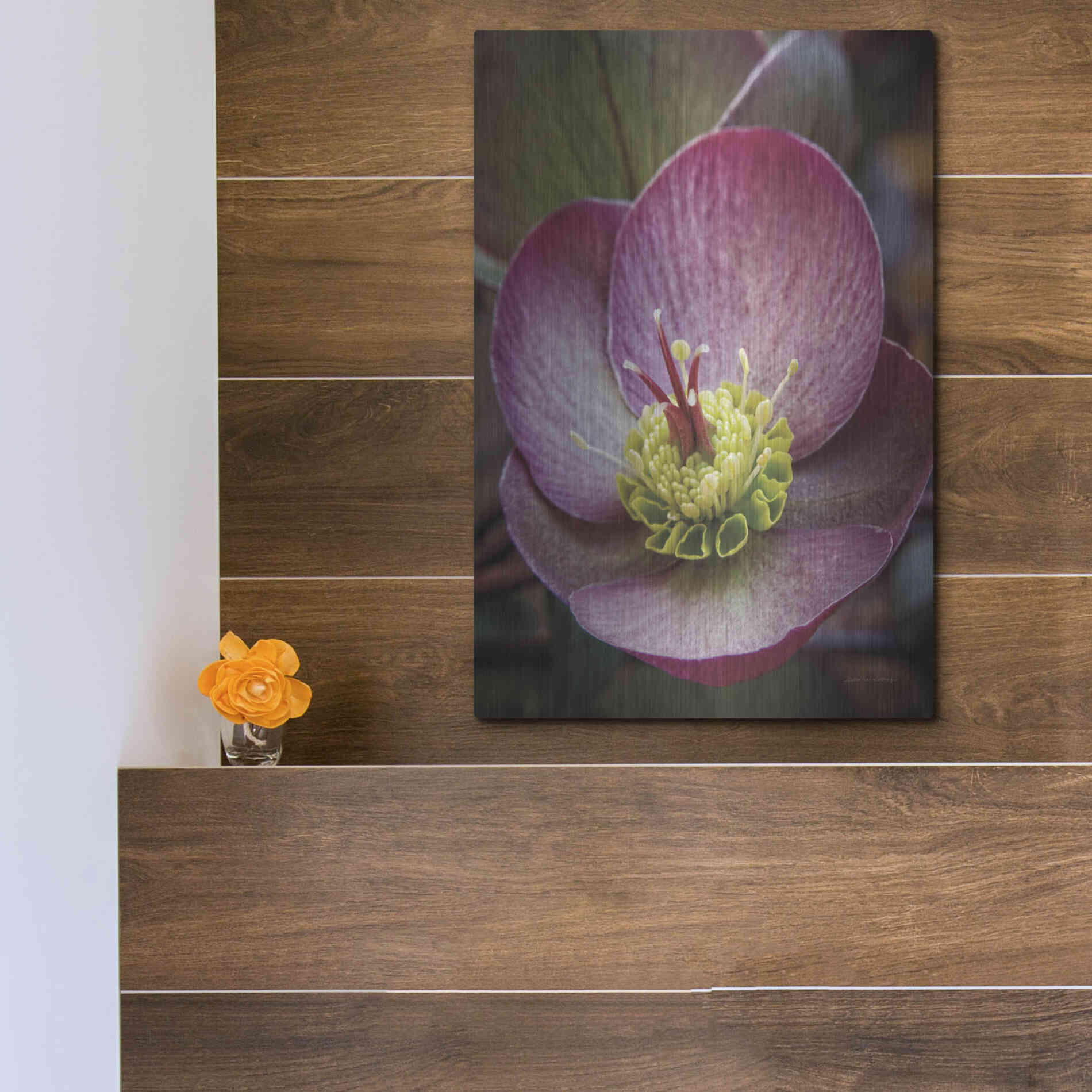 Luxe Metal Art 'Lenton Rose IV' by Debra Van Swearingen, Metal Wall Art,12x16