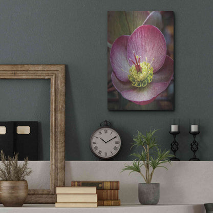 Luxe Metal Art 'Lenton Rose IV' by Debra Van Swearingen, Metal Wall Art,12x16