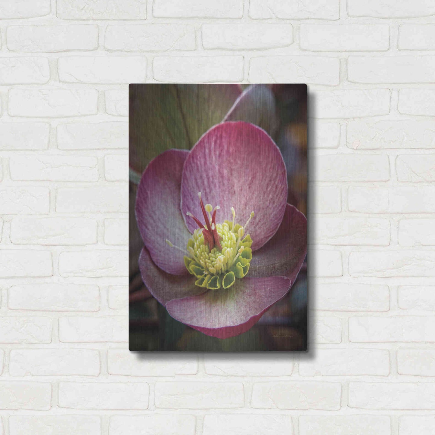 Luxe Metal Art 'Lenton Rose IV' by Debra Van Swearingen, Metal Wall Art,16x24