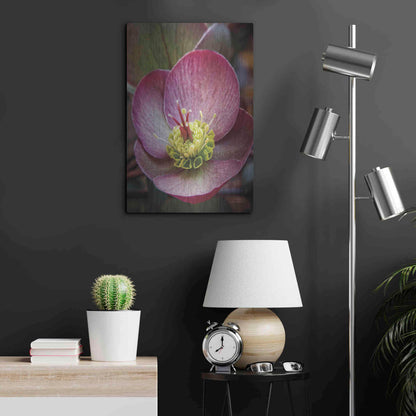 Luxe Metal Art 'Lenton Rose IV' by Debra Van Swearingen, Metal Wall Art,16x24